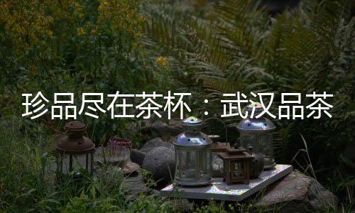 探秘武汉品茶网：开启一场精神的品茶之旅