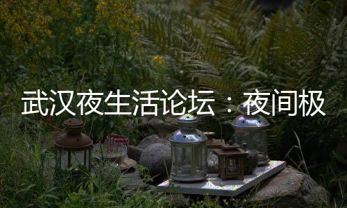 武汉品茶网：在茶叶世界中感受生活的美好